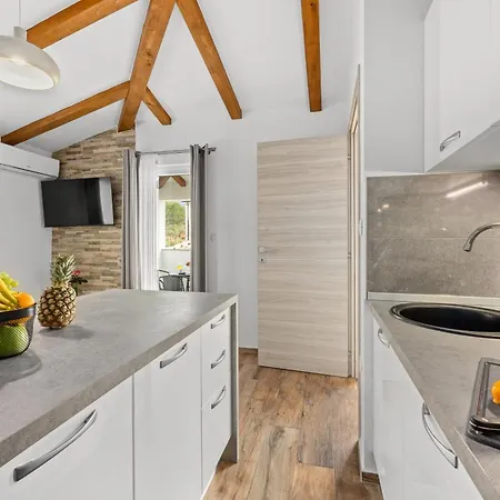 Apartamento Gajic *